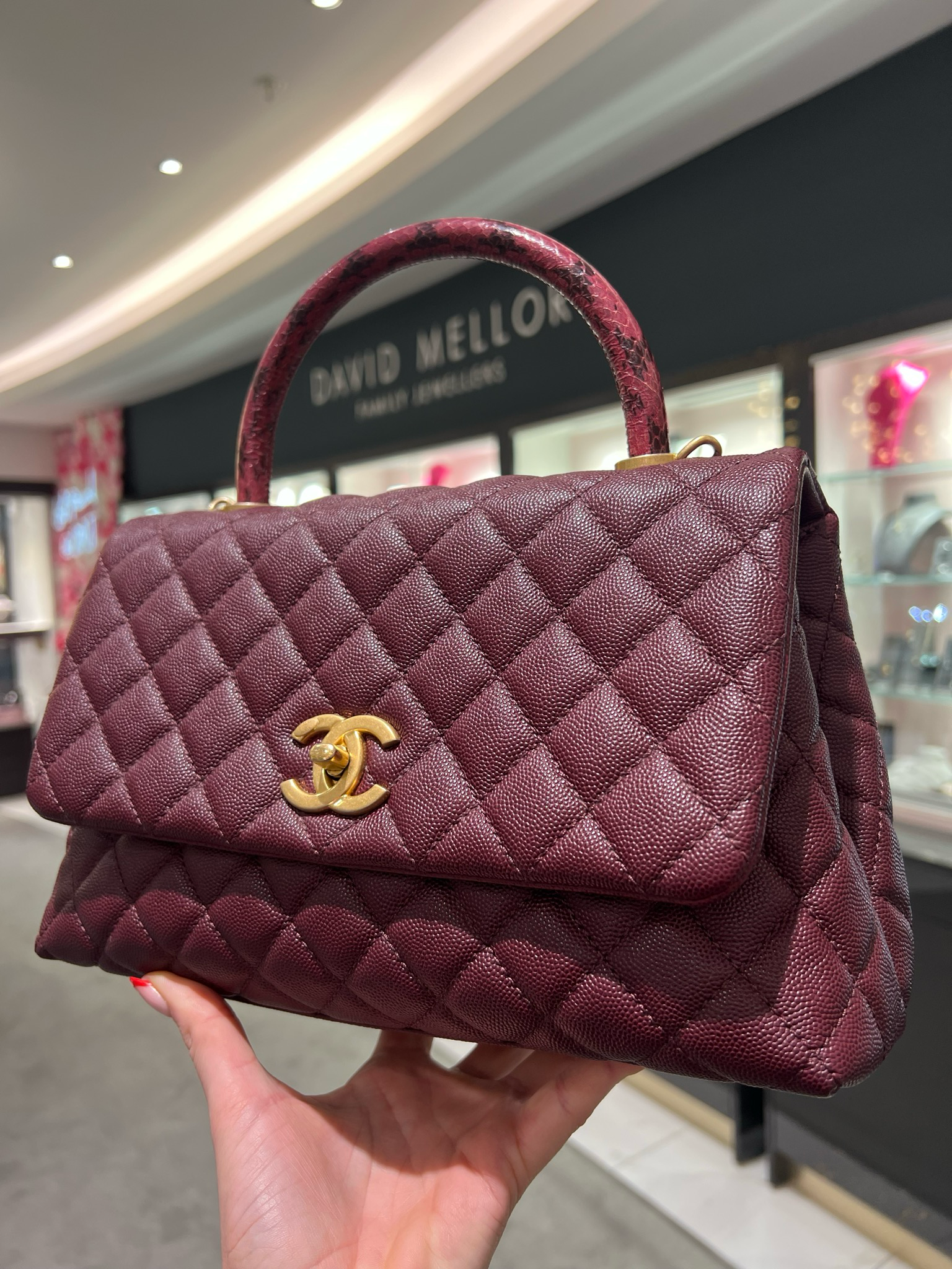 Pre-Owned Chanel Small Coco Handle in Burgundy Caviar/Elaphe Snake Top Handle
