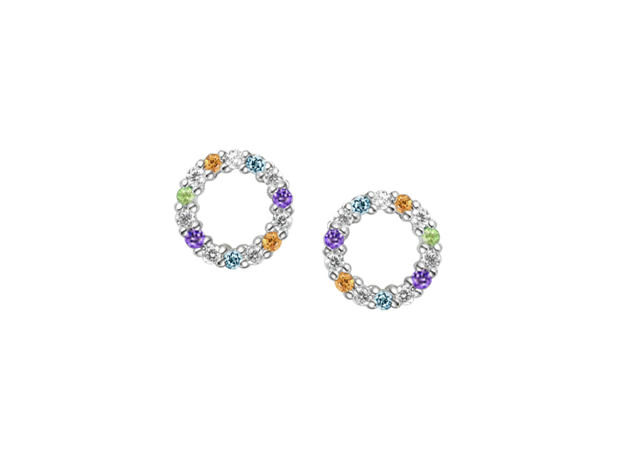 Sterling Silver Circle of Colour Stud Earrings